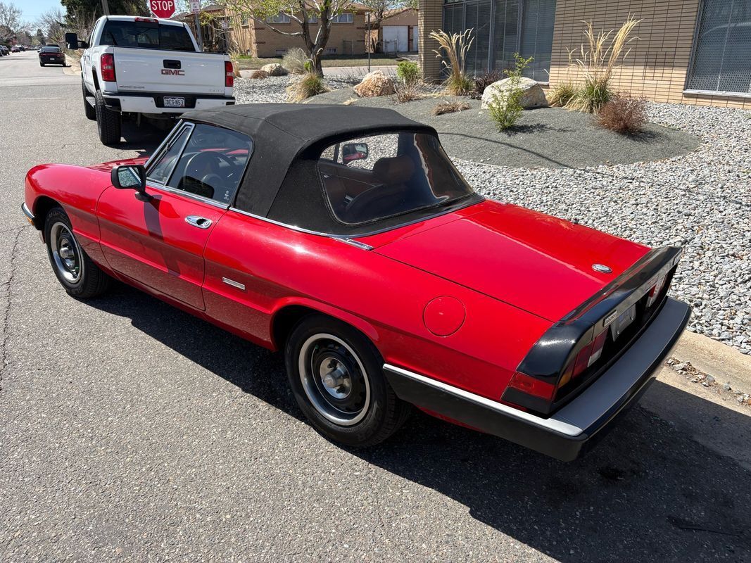 1987 Alfa Romeo Spider Graduate very fun droptop for the summertime - photo 12