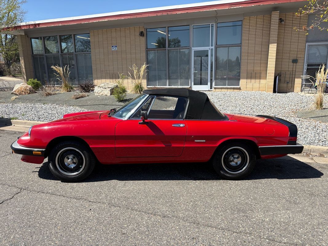 1987 Alfa Romeo Spider Graduate very fun droptop for the summertime - photo 13
