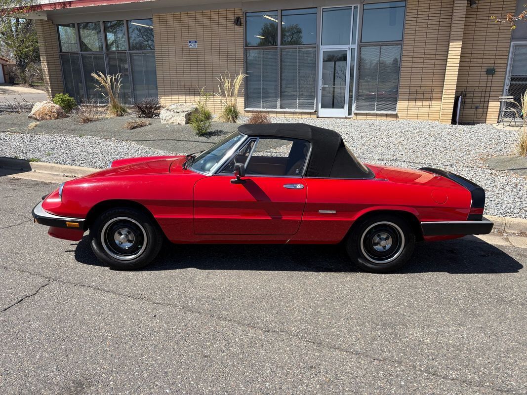 1987 Alfa Romeo Spider Graduate very fun droptop for the summertime - photo 2