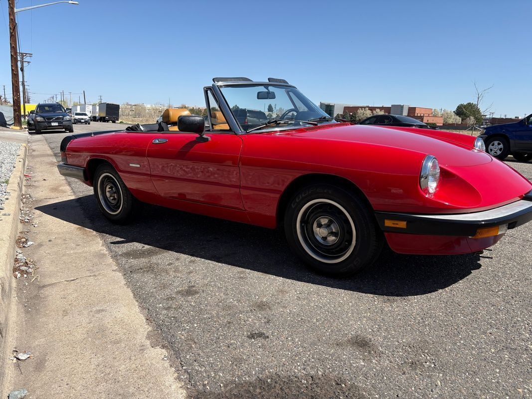 1987 Alfa Romeo Spider Graduate very fun droptop for the summertime - photo 3