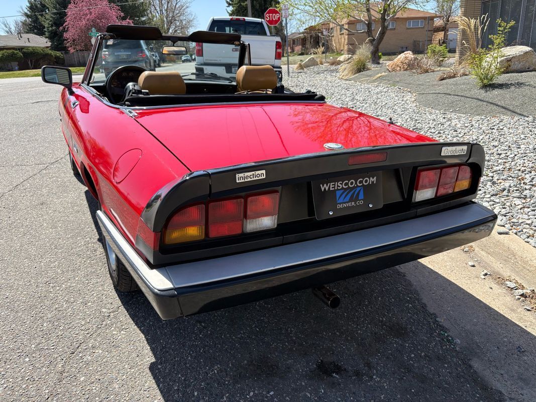 1987 Alfa Romeo Spider Graduate very fun droptop for the summertime - photo 4
