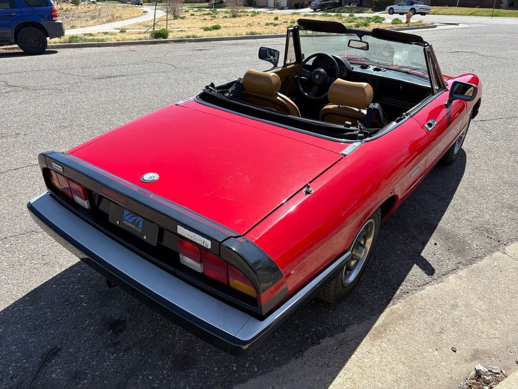 1987 Alfa Romeo Spider Graduate very fun droptop for the summertime - photo 5