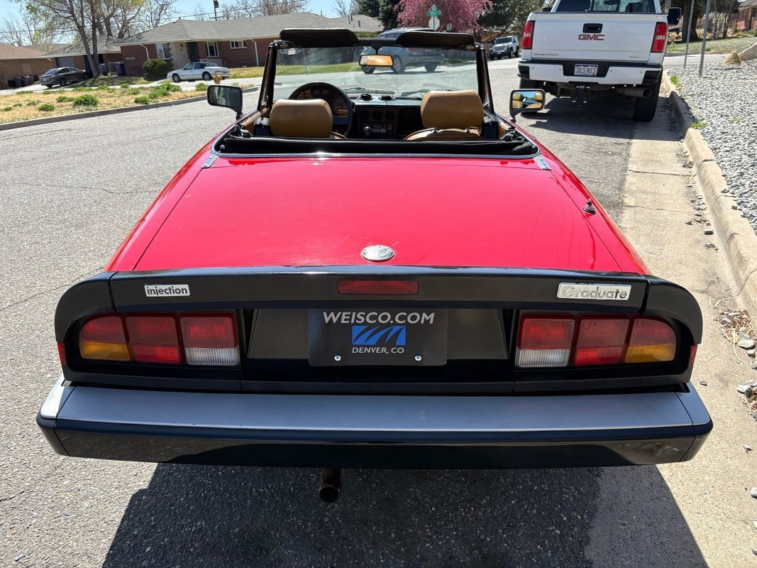 1987 Alfa Romeo Spider Graduate very fun droptop for the summertime - photo 6