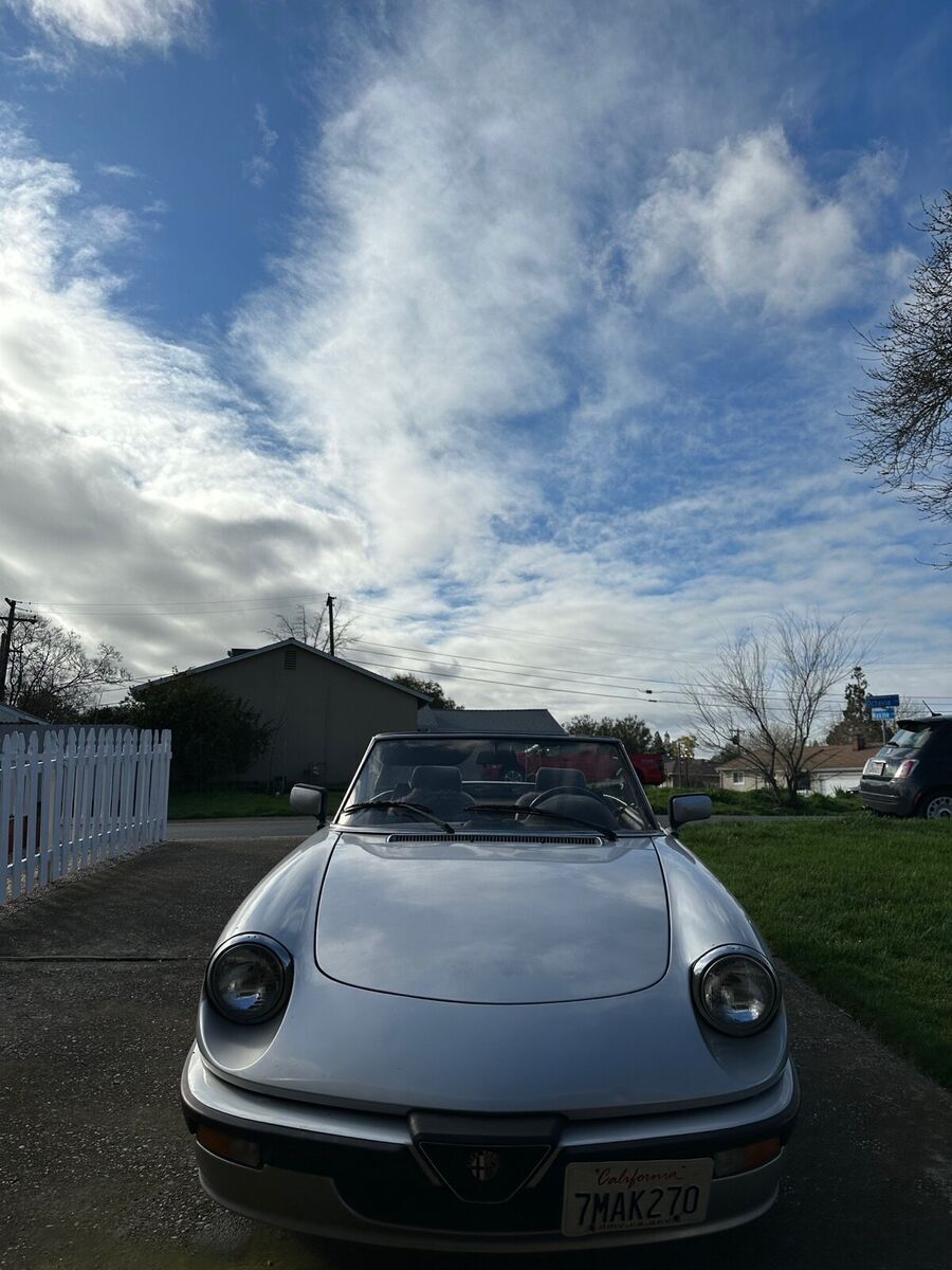 1987 Alfa Romeo Spider QUADRIFOGLIO - photo 3