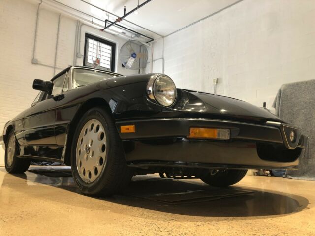 1987 Alfa Romeo Spider Quadrafoglio - photo 5