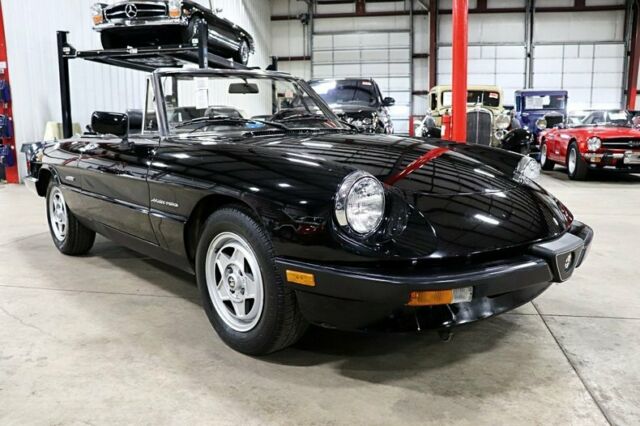 1987 Alfa Romeo Spider Veloce - photo 7