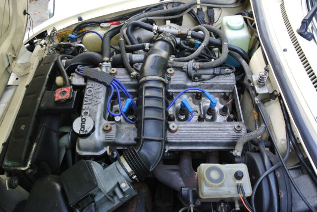 1987 Alfa Romeo Spider Veloce - photo 8