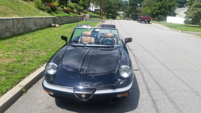 1987 Alfa Romeo Spider - photo 2
