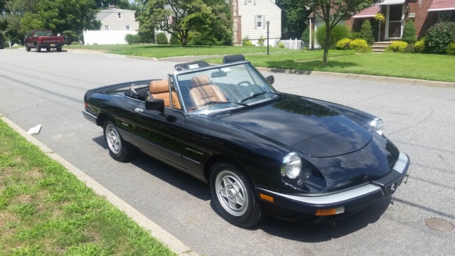 1987 Alfa Romeo Spider - photo 3