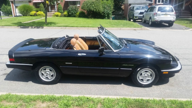 1987 Alfa Romeo Spider - photo 4