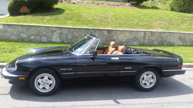 1987 Alfa Romeo Spider - photo 6