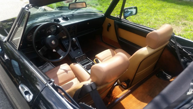 1987 Alfa Romeo Spider - photo 7