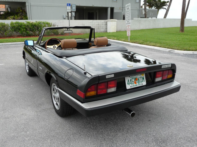 1987 Alfa Romeo Spider - photo 4