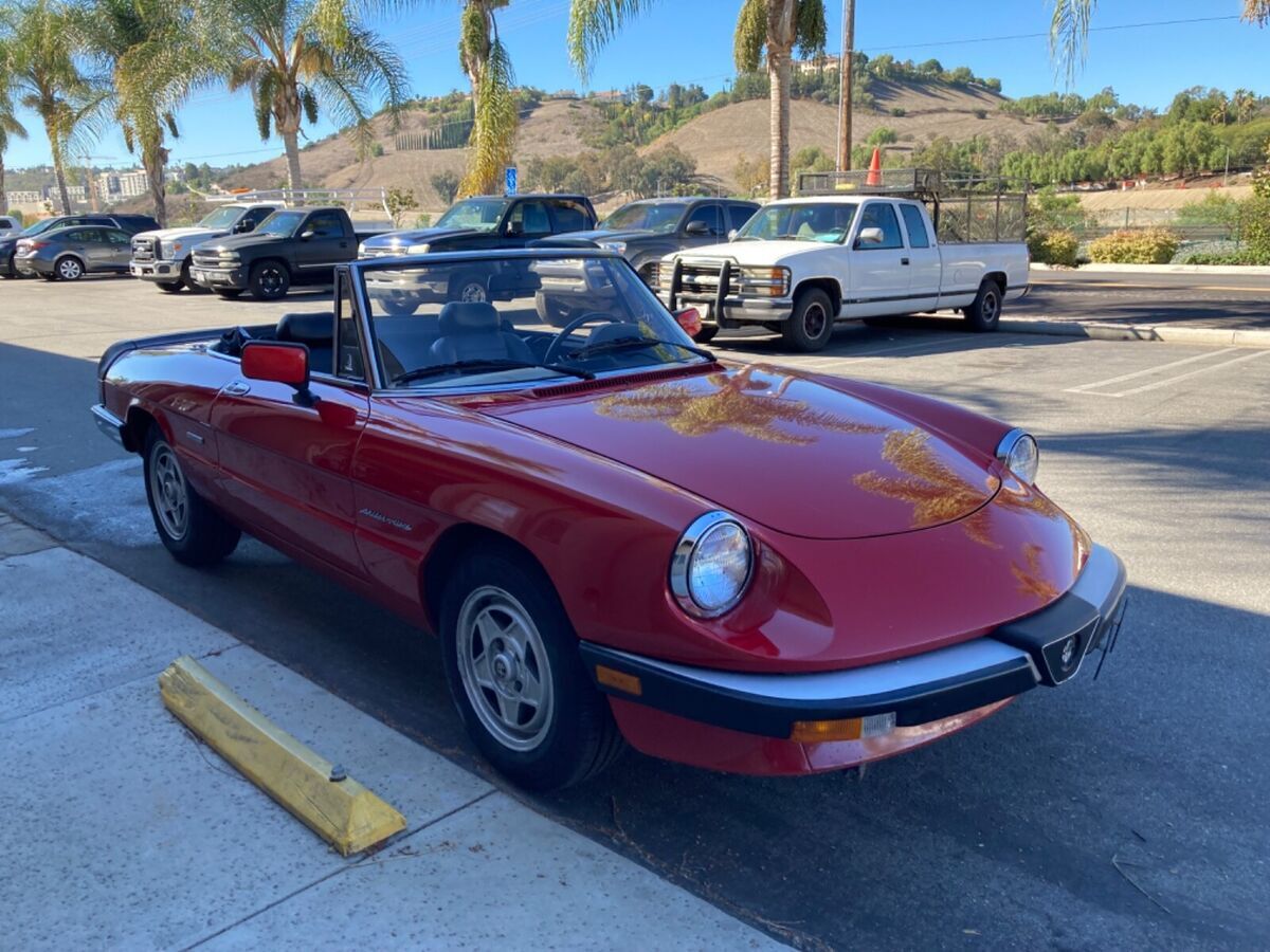 1987 Alfa Romeo Spider - photo 7