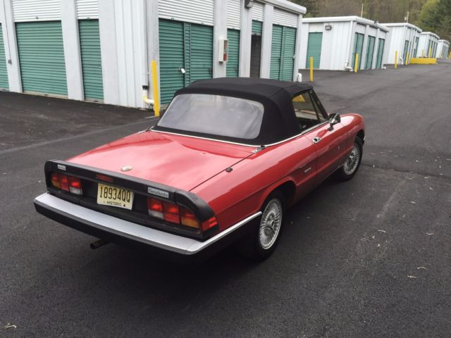 19870000 Alfa Romeo Spider - photo 10