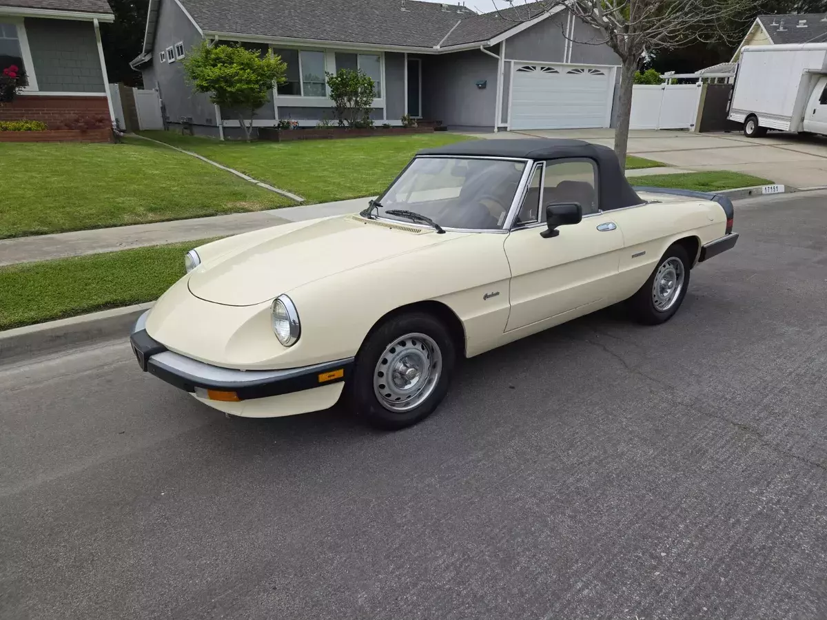 1987 alfa romeo spyder graduate convertible 1987 Alfa Romeo Spider
