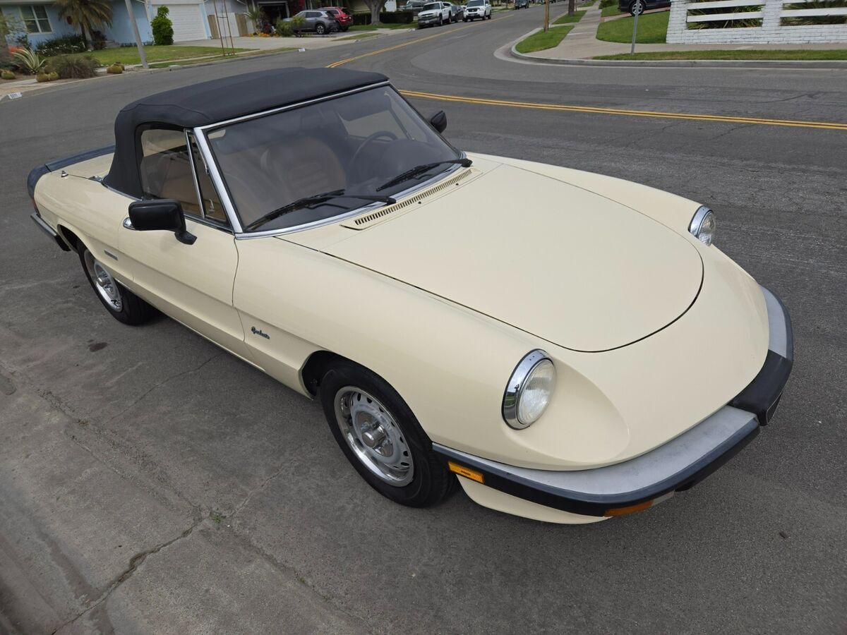 1987 Alfa Romeo Spider - photo 2