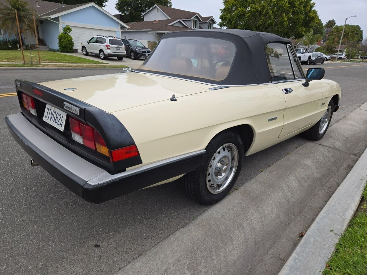 1987 Alfa Romeo Spider - photo 4