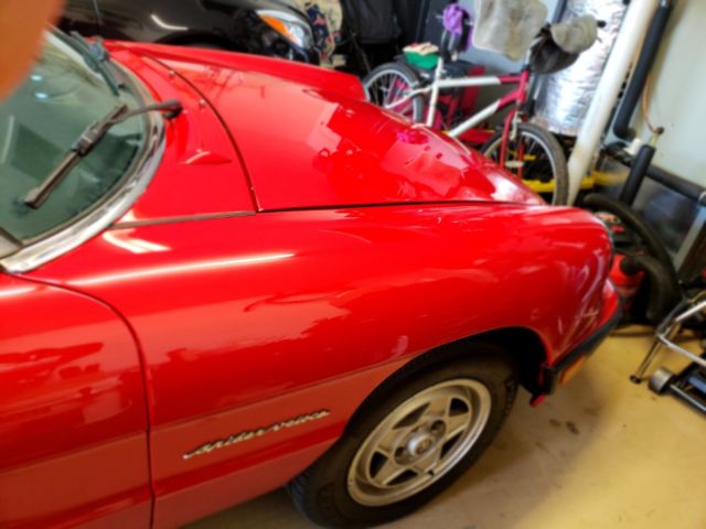 1987 Alfa Romeo Spider Veloce - photo 5
