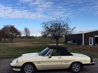 1987 Alfa Romeo Spider - photo 3