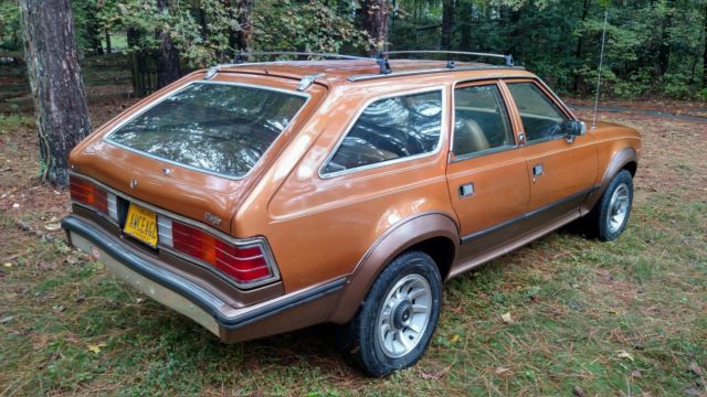 1987 AMC Other Station wagon - photo 9