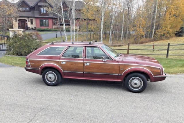 1987 AMC Other Limited - photo 5
