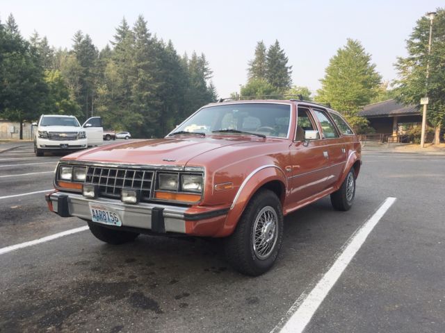 1987 AMC Other