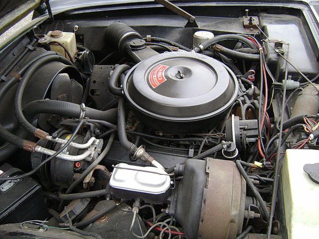 1987 Studebaker Avanti - photo 11