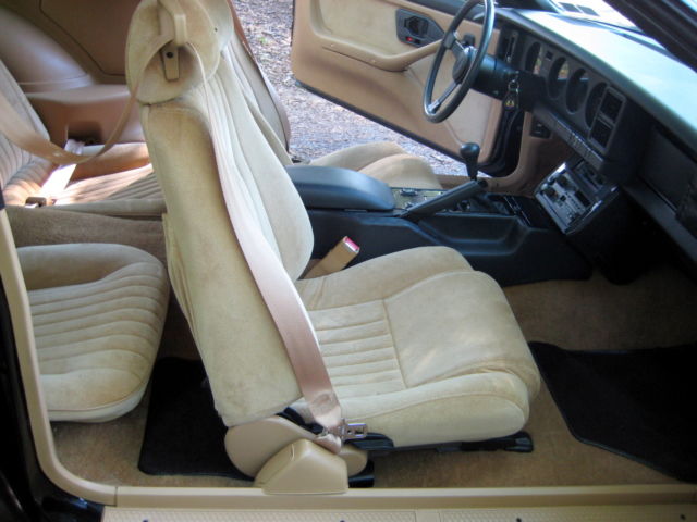 1987 Pontiac Trans Am - photo 11