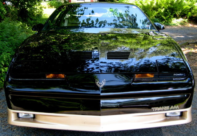 1987 Pontiac Trans Am - photo 8