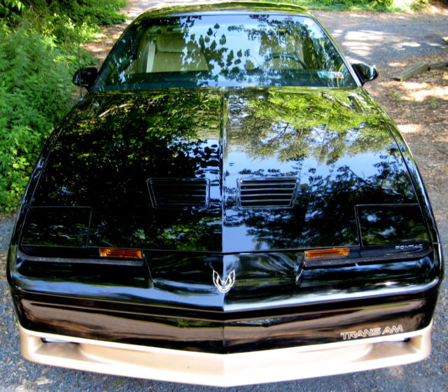 1987 Pontiac Trans Am - photo 9