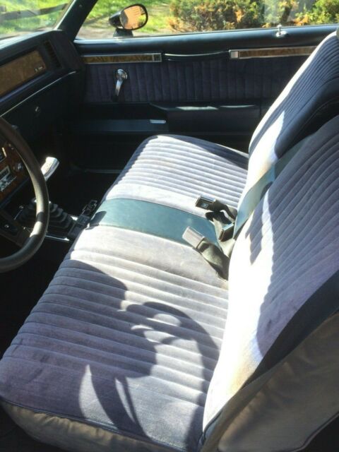 1981 Buick Grand National - photo 12