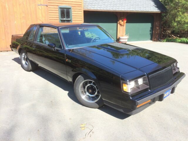 1981 Buick Grand National - photo 2