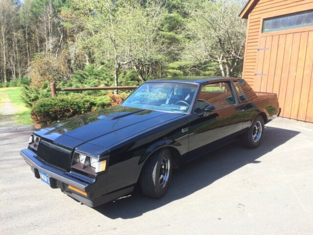 1981 Buick Grand National - photo 4