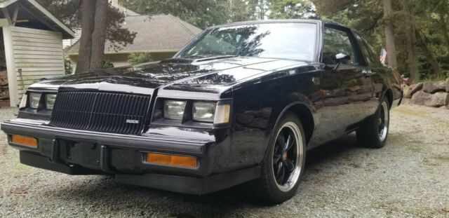 1987 Buick Grand National - photo 3