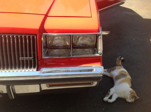 1987 Buick Grand National Turbo T - photo 6