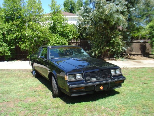 1987 Buick Grand National Grand National - photo 12