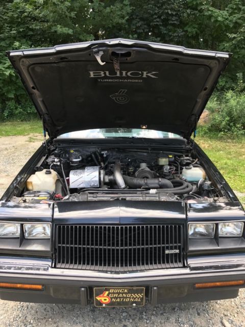 1987 Buick Grand National - photo 8