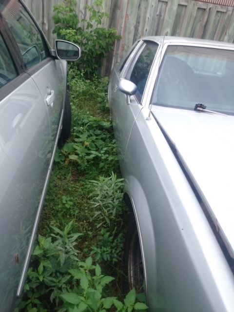 1987 Buick Regal - photo 2