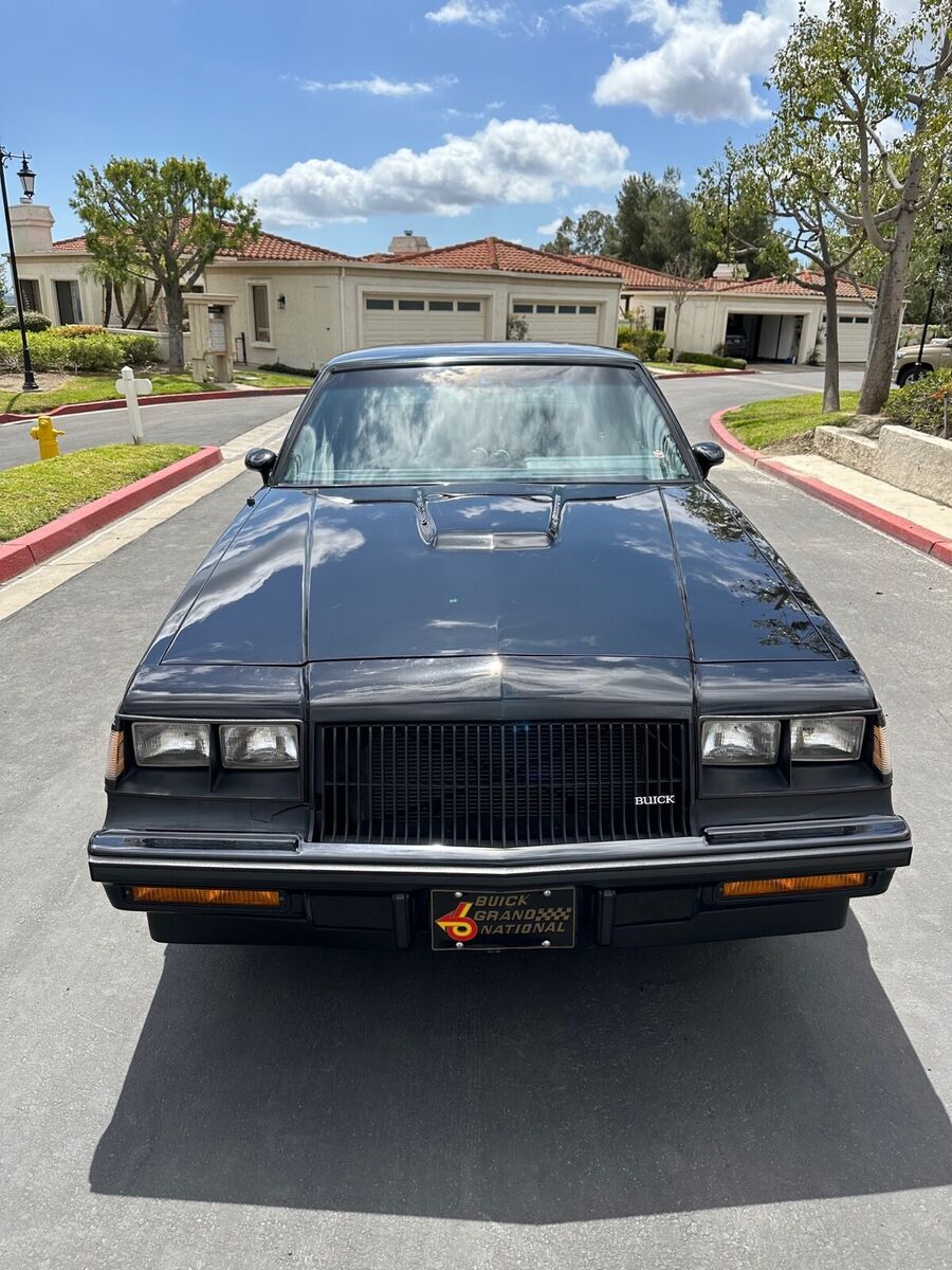 1987 Buick Regal grand national - photo 11