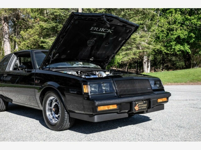1987 Buick Regal Grand National Turbo 3.8L Turbo - photo 10