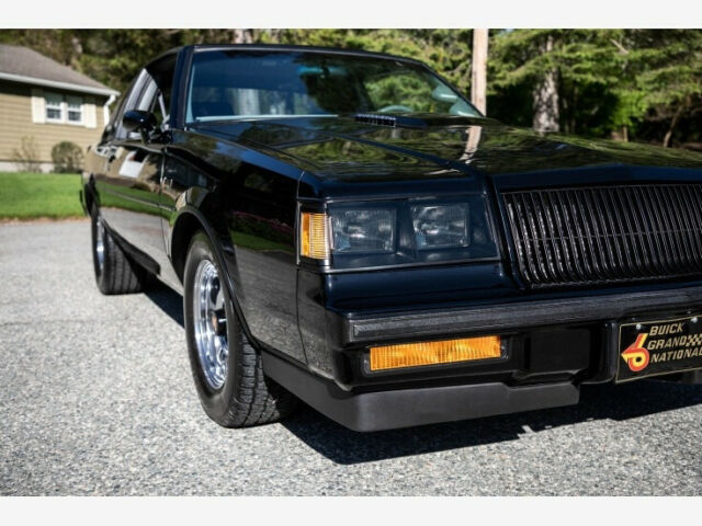 1987 Buick Regal Grand National Turbo - photo 8