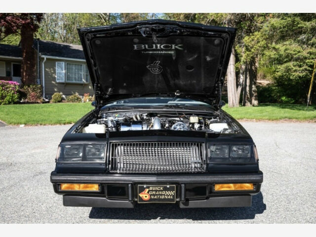 1987 Buick Regal Grand National Turbo - photo 9