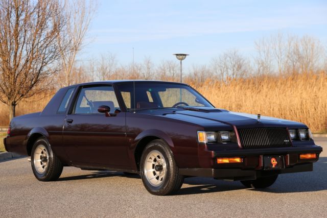 1987 BUICK REGAL T TYPE HARDTOP 42K ACTUAL MILES TIME CAPSULE MINT NO RESERVE !! 1987 Buick Regal T Package