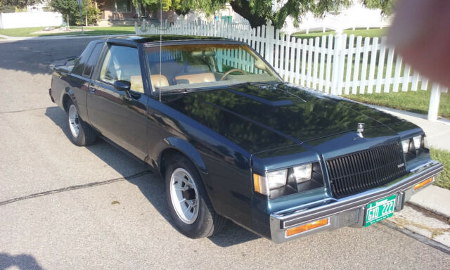 1987 Buick Regal Turbo-T Limited - photo 3