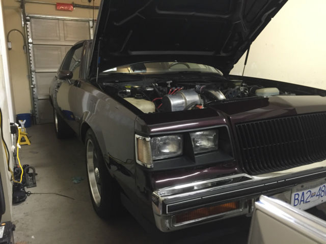 1987 Buick Grand National T-Type - photo 8