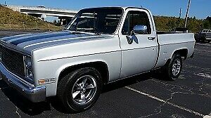1987 Chevrolet C10 100000 Miles Silver/Black 1987 Chevrolet C-10 --