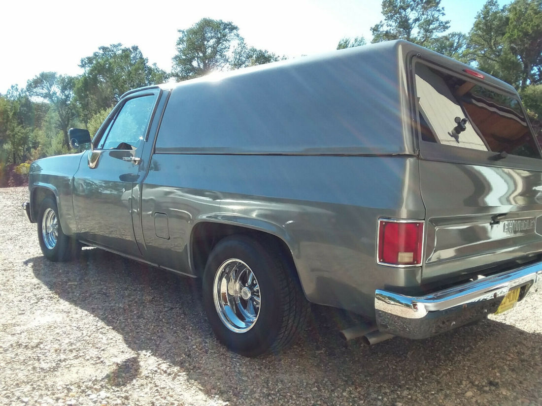 1987 Chevrolet C-10 Custom Delux - photo 11