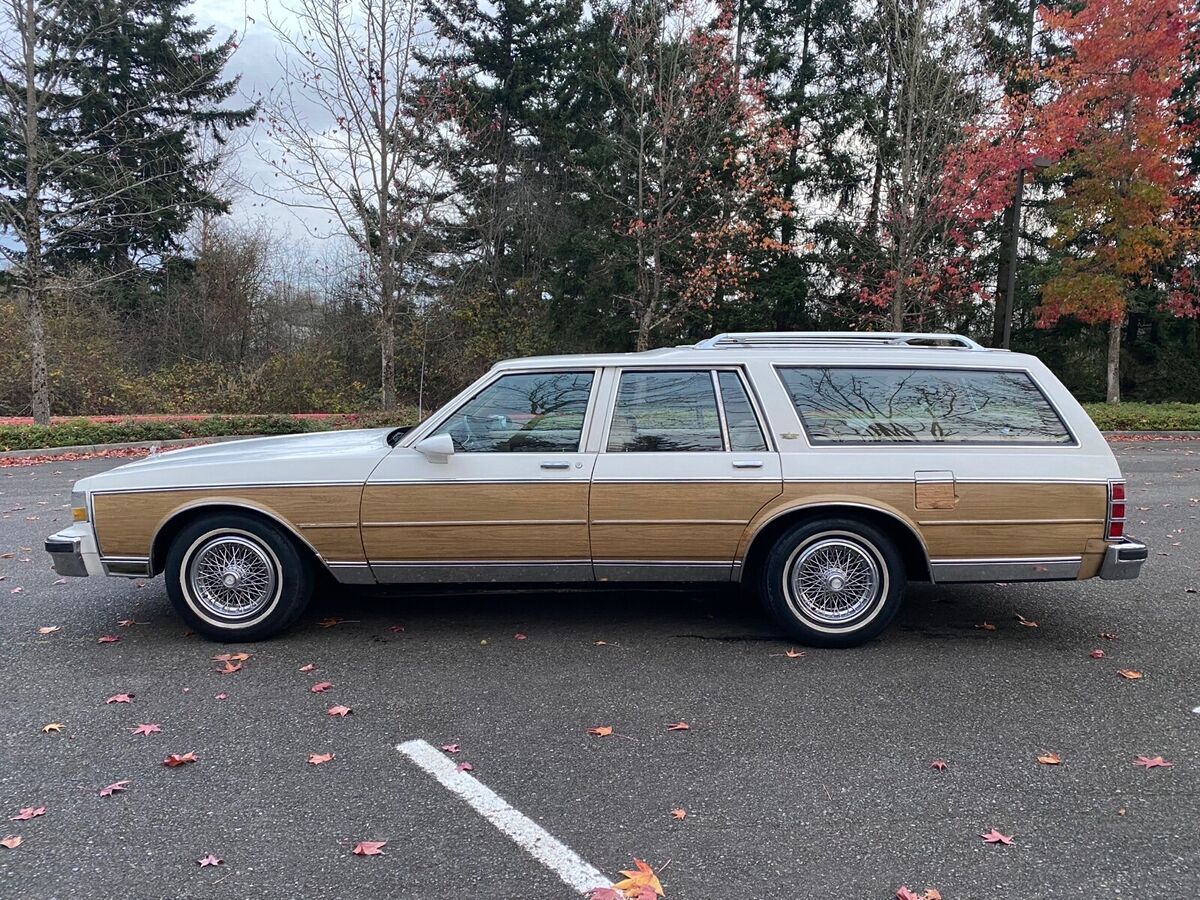 1987 Chevrolet Caprice CLASSIC - photo 13