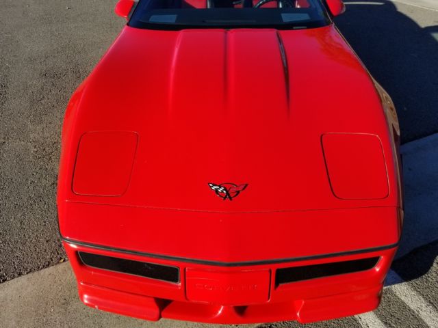 1987 Chevrolet Corvette Custom Body Kit - photo 7